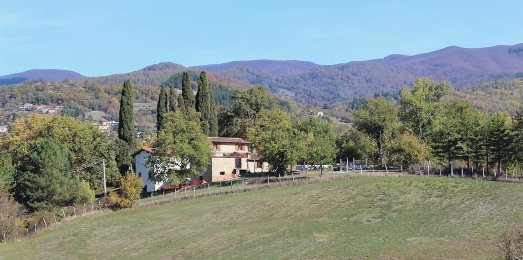 Agriturismo Mandrioli Pratovecchio Extérieur photo