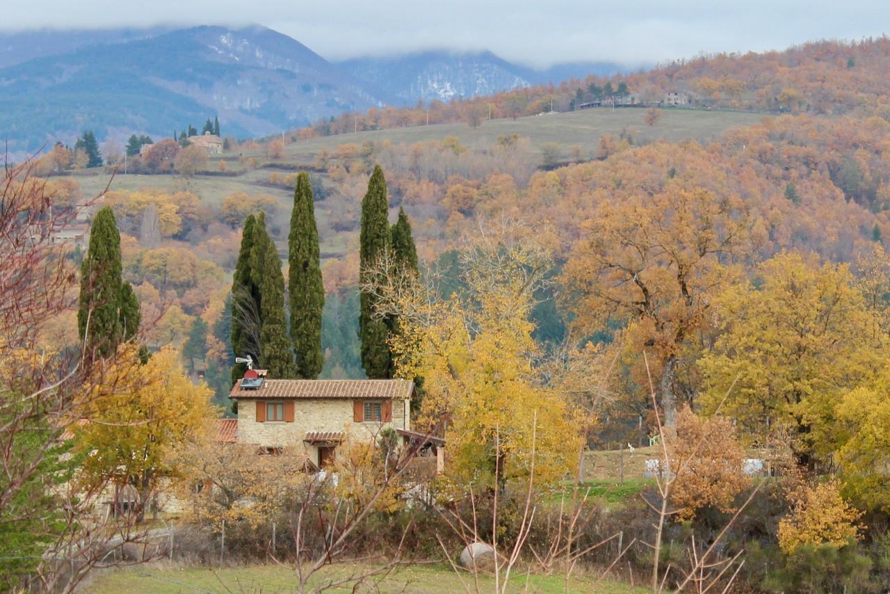 Agriturismo Mandrioli Pratovecchio Extérieur photo